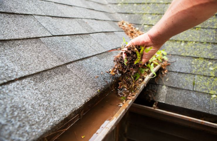 Professional Rain Gutter Cleaners in Los Angeles CA