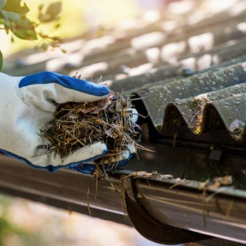 Local Gutter Cleaners in Los Angeles CA