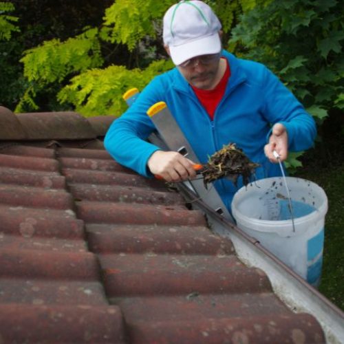 The Best Way to Clean Rain Gutters in Los Angeles