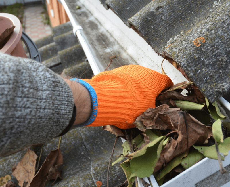 Why Should You Choose Artisan Roofing Los Angeles for Your Roof Cleaning Needs?